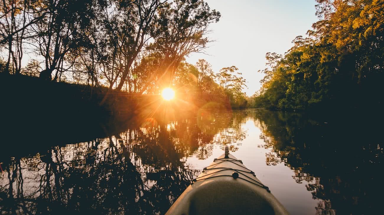 7 Killer Kayak Adventures On The Sunshine Coast (QLD), Scout Hinchliffe, water, glassy, reflection, sunburst, trees, MAROOCHY RIVER TRAIL