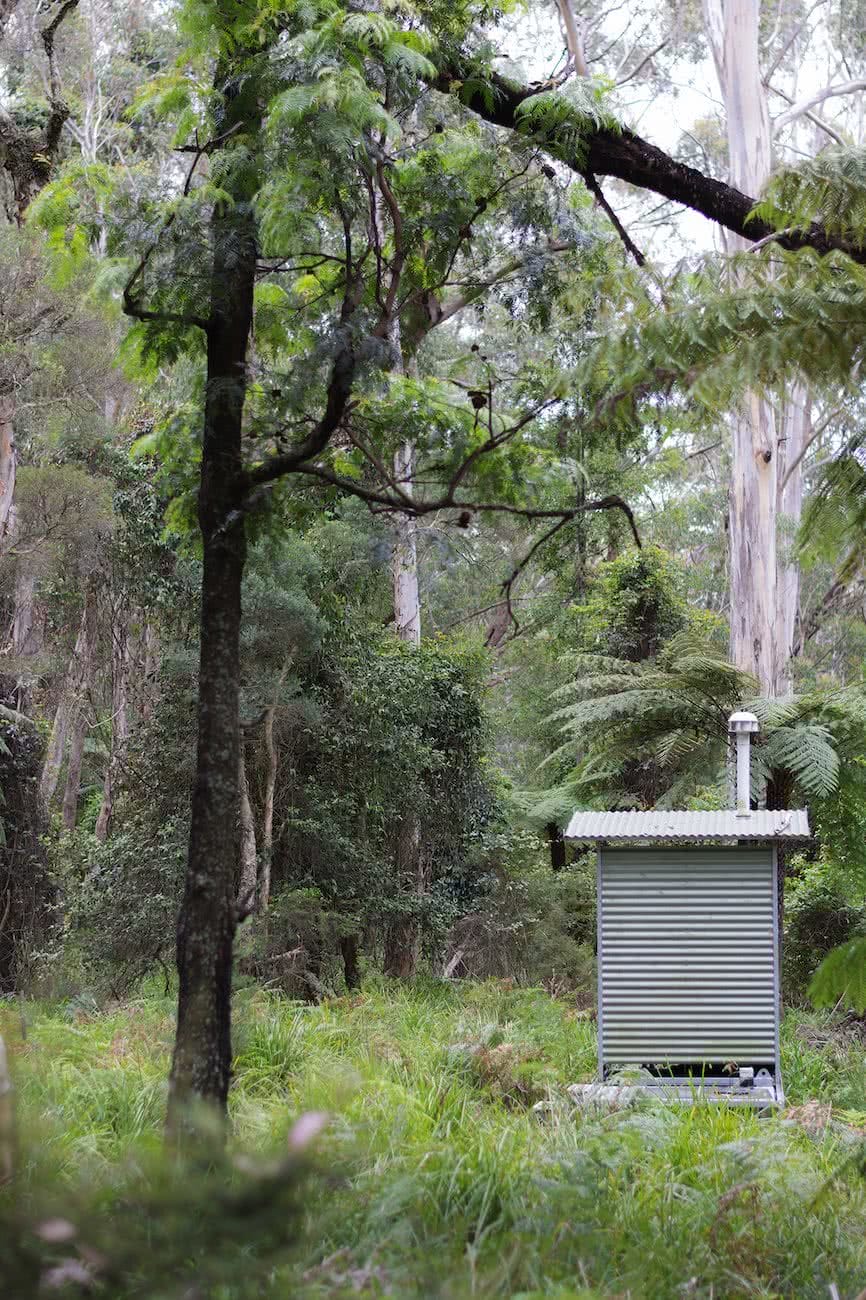 Camping On Top Of Mount Solitary // Blue Mountians (NSW). Last dunny_Matt Pearce, toilet, bush, trees