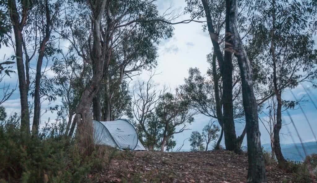 Quechua 2 Second Pop Up Tent // Gear Review Riley Kruck, tent, trees, dirt, campground
