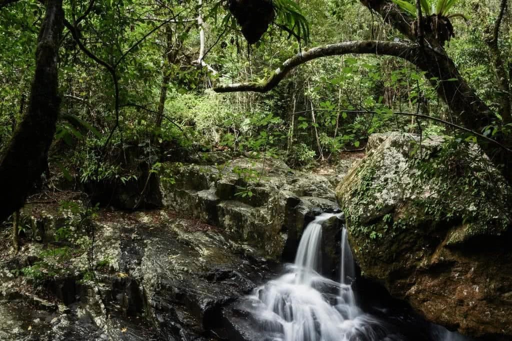 Stoney Creek Falls // Cairns (QLD) Lisa Owen, waterfall, trees, creek, rocks