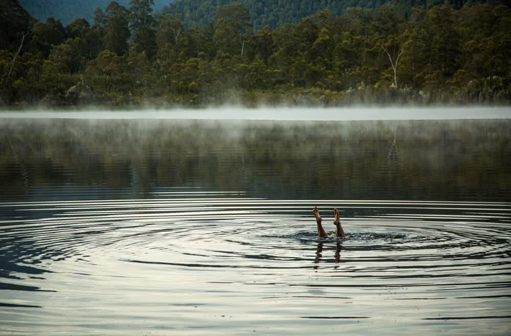  12 Things To Do On Tassie’s West Coast, photo by Nick Green, Lake Burbury, dive, feet, ripples, forest