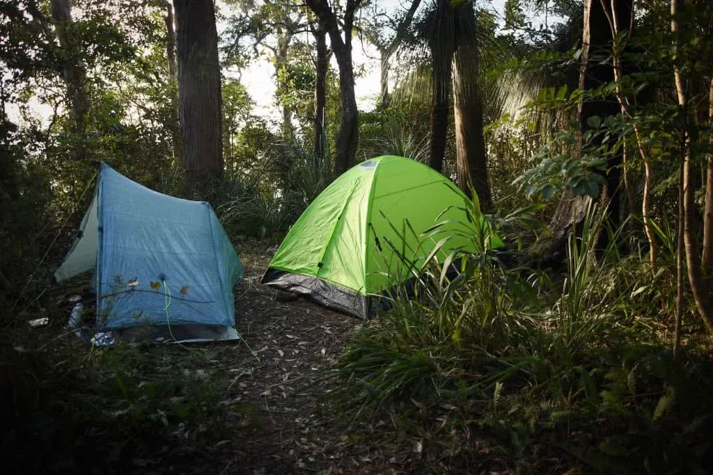 Does Your Loungeroom Have A View Like This? // Main Range NP (QLD) Lisa Owen_Bushcamp, tents, trees, camp, pitched
