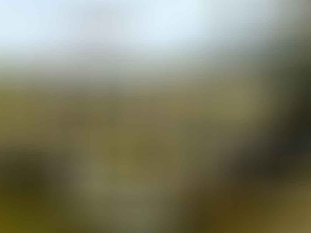 Highlights Of The Overland Track (VIC) Lake Windermere - Sarah Barlow, Photo Jo Barlow, lake, island, trees, mist, mountain peak, appearing, shrouded