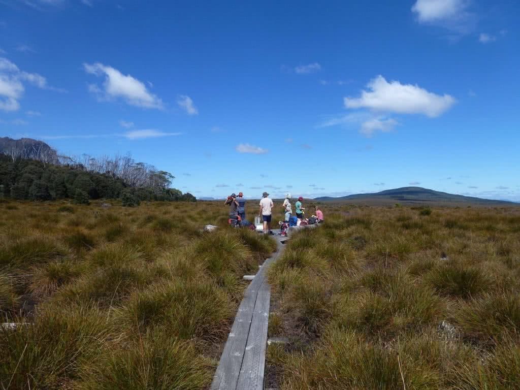 Highlights Of The Overland Track (VIC) Coffee Break number 3 - Sarah Barlow, track, platform, group, hikers