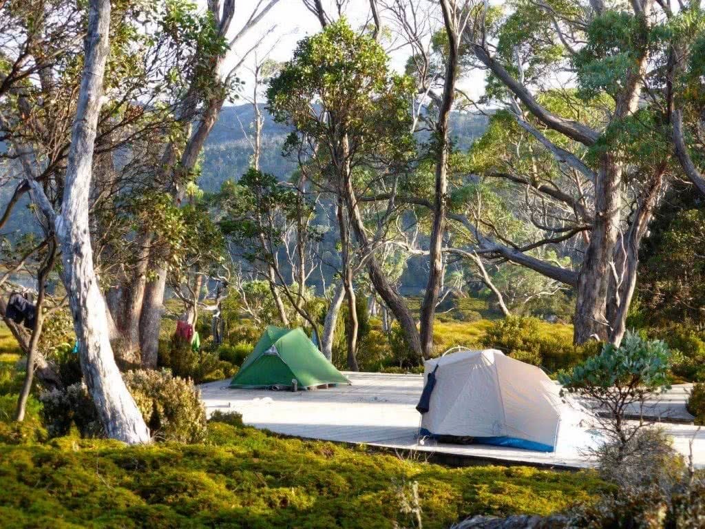Highlights Of The Overland Track (VIC) Camping - Sarah Barlow, tents, platform, trees