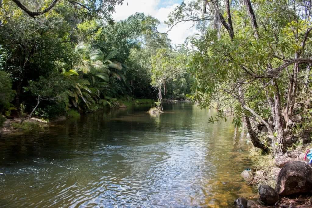 Straight Outta The Seventies // Finch Hatton Gorge (QLD), Jacquie Tapsall, swimming hole, swimmers, trees, creek