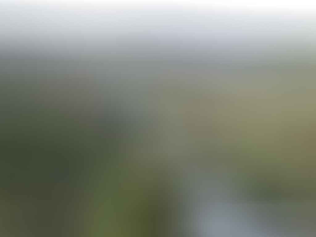 Welcome to Mt Jagungal (We Got Mist and Rain) // Kosciuszko NP (NSW), Sam Christie, stream, creek, river, backpack, hiker