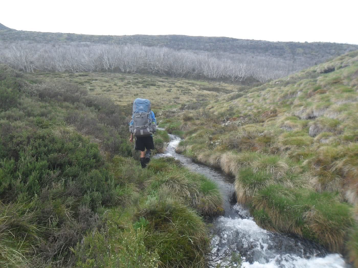 Welcome to Mt Jagungal (We Got Mist and Rain) // Kosciuszko NP (NSW), Sam Christie, stream, creek, river, backpack, hiker