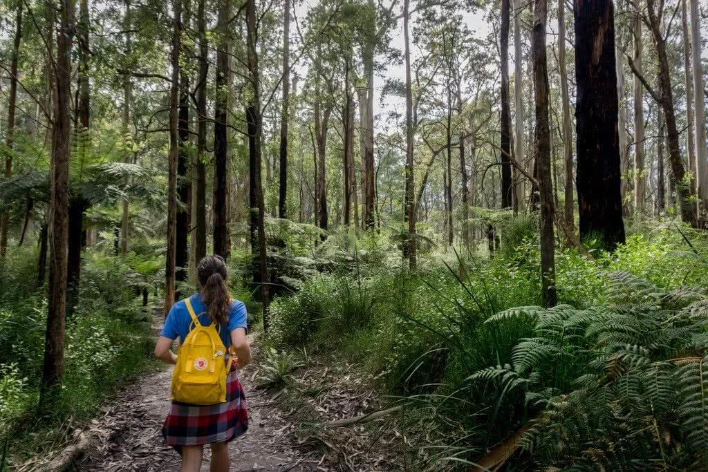 Wet Feet And Waterfalls // Cumberland River Trail (VIC), Isobel Campbell, Walking through bush, backpack, yellow, girl, ferns, trees