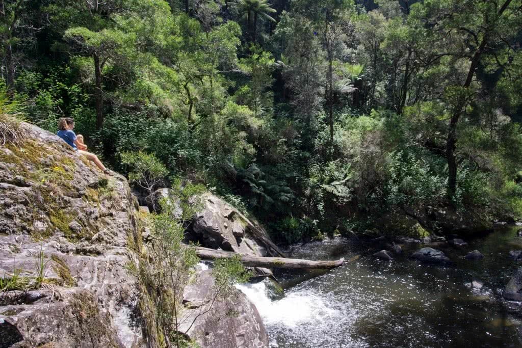 Wet Feet And Waterfalls // Cumberland River Trail (VIC), Isobel Campbell, Cumberland Falls, trees, water, pool, cliff, falls