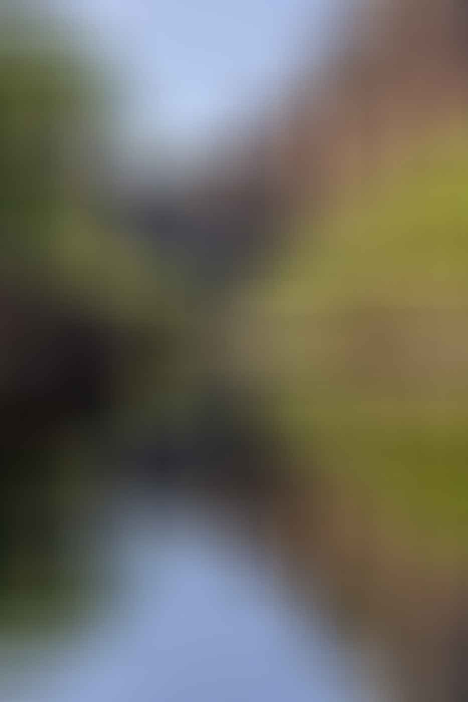 Lewis Burnett, Hunting for Paradise, Kakadu National Park, Photo Essay, waterfall, 