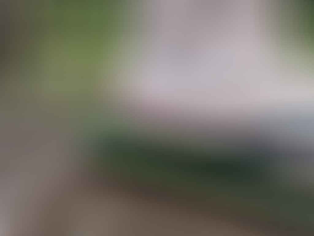 10 Hiking Lessons Learnt On The Green Gully Track (NSW), Rachel Dimond, Blister, heel, closeup, thong, gross