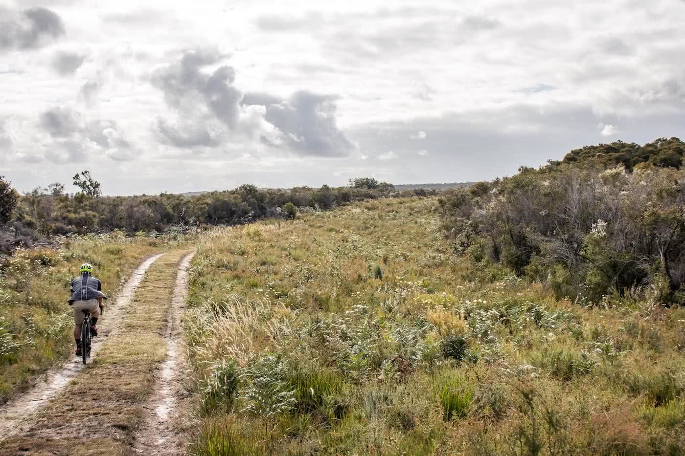 French Island // Melbourne's Wilder Island Adventure, Chris Paola, track, trail, scrub, into the distance, biker