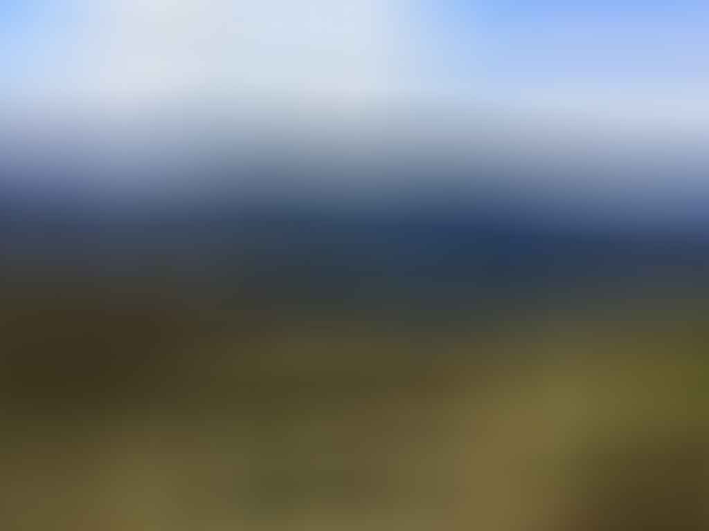It's A Really Great Walk // Kepler Track (NZ), Nicholas Di Genni, Te Anau Lake, Luxmore, Hut, South Fiord, heath, grassland, valley