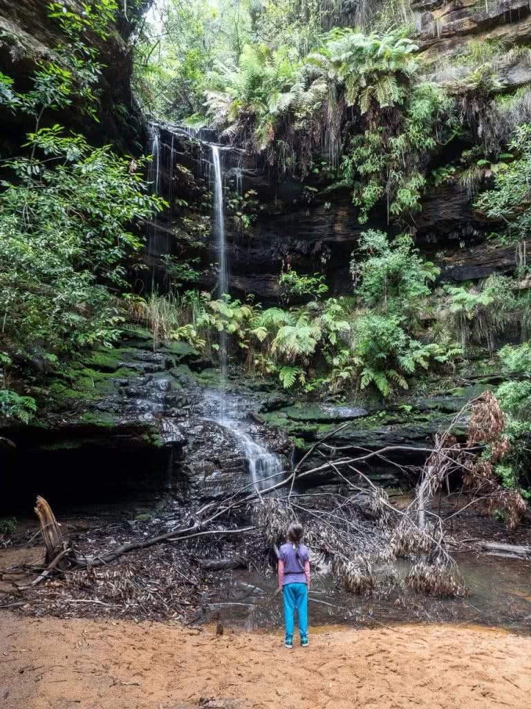 5 Ways You Can Protect Our Wild Places, James Stuart, St Michaels Falls, Blue Mtns NP, woman, looking, waterfall, trickle, looking up, feeling small