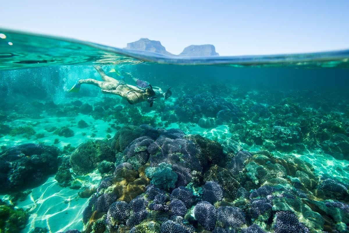Snorkelling, Lord Howe Island Destination NSW Woman snorkelling off Lord Howe Island.