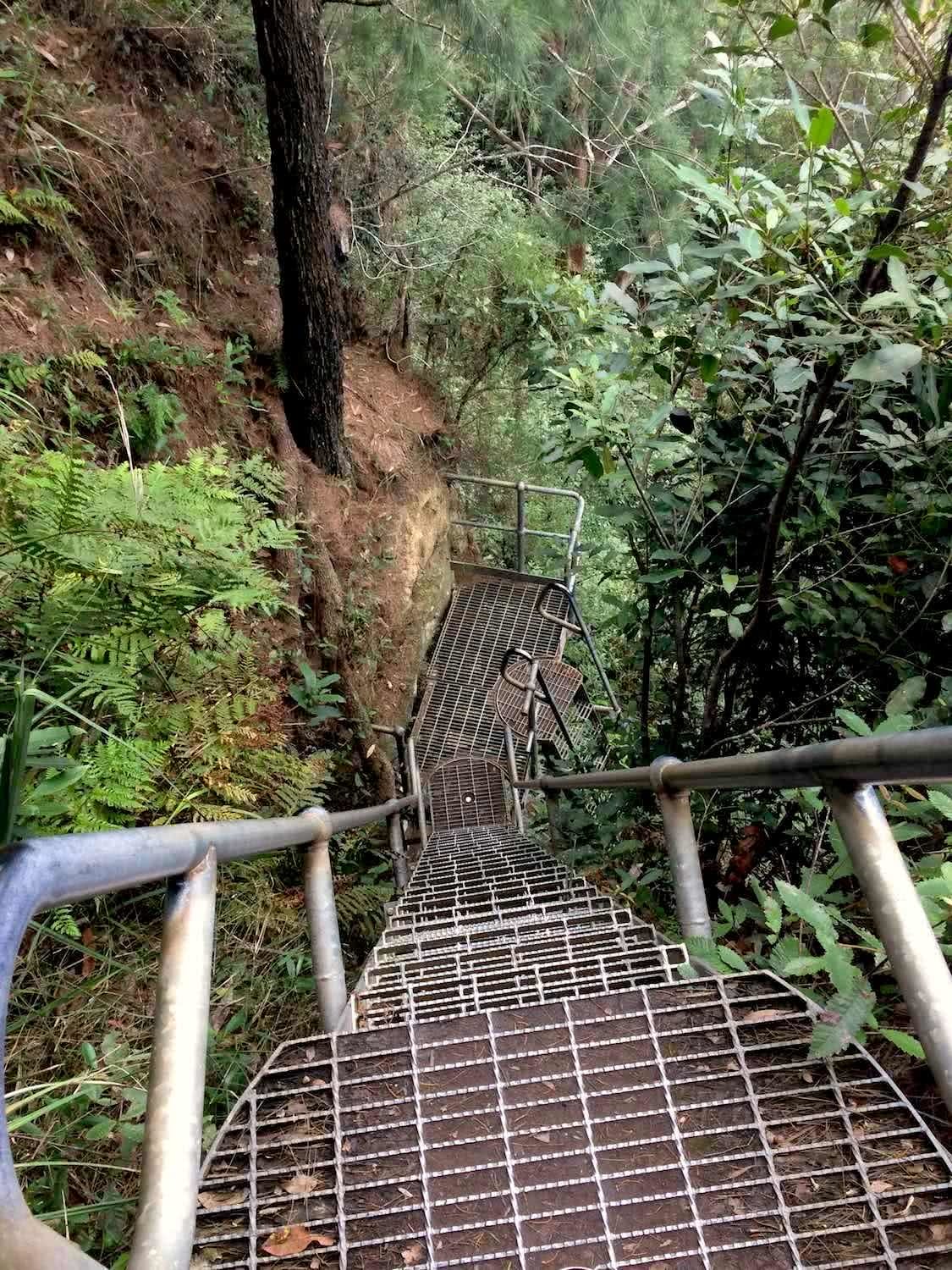 Sublime Point Ladders, nicholas di genni, illawarra, best walks, microadventure,