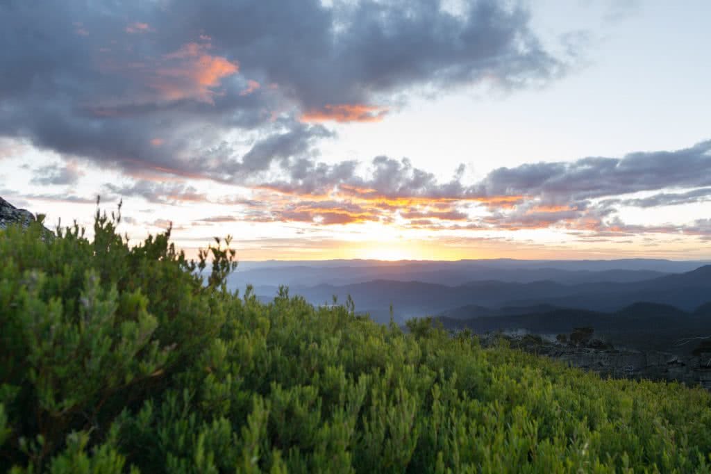 Mt Cobbler Plateau Circuit // Alpine National Park (VIC), Isobel Campbell, sunrise, forest, trees, orange, clouds 