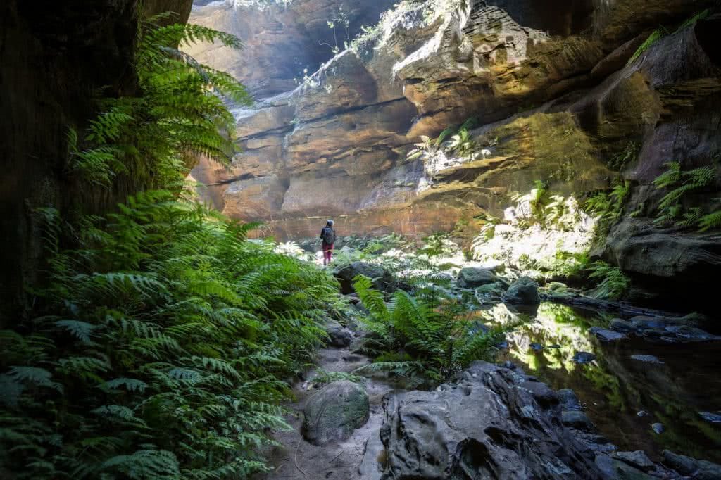 A Secret World Of Green // Grand Canyon Track (NSW), Rachel Dimond, ferns, overhang, walls, cliffs, hiker, small