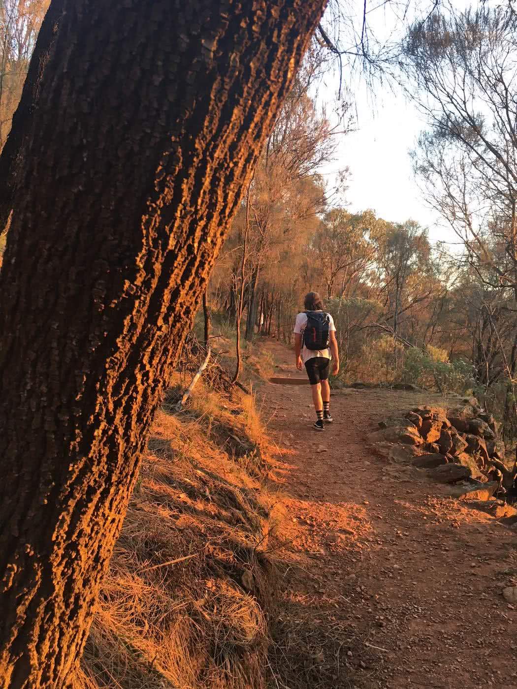 Saturday Night In The City // Mt Majura Sunset Hike (ACT), Mattie Gould, Hike, hiker, tree trunk, trail