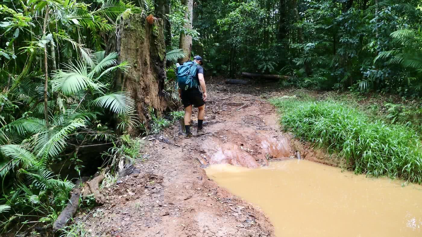 Windin Falls // A Tropical Tableland Oasis (QLD), Grant Purcell, mud, hiker, puddle, trail, sloppy, wet