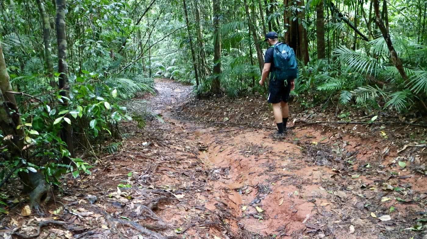 Windin Falls // A Tropical Tableland Oasis (QLD), Grant Purcell, muddy, trail, track, woods, hiker