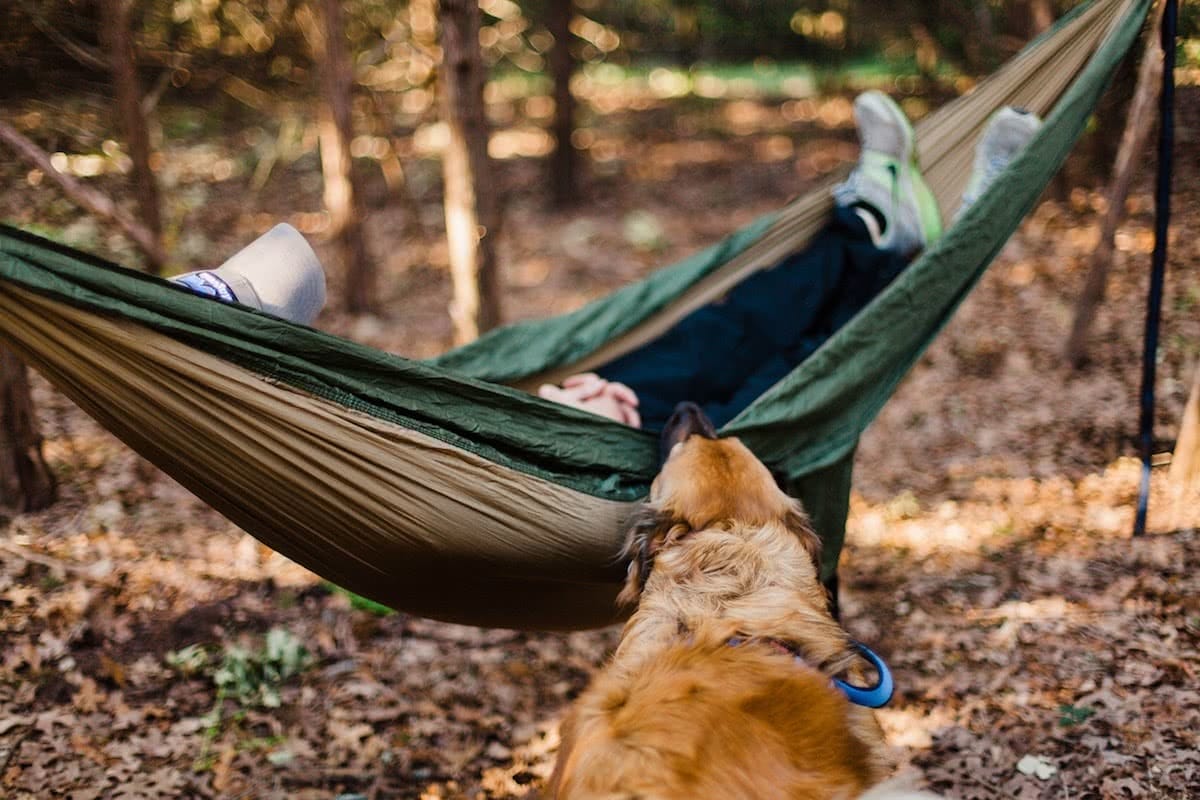 heather-mount, unsplash, dog, camping, hammock