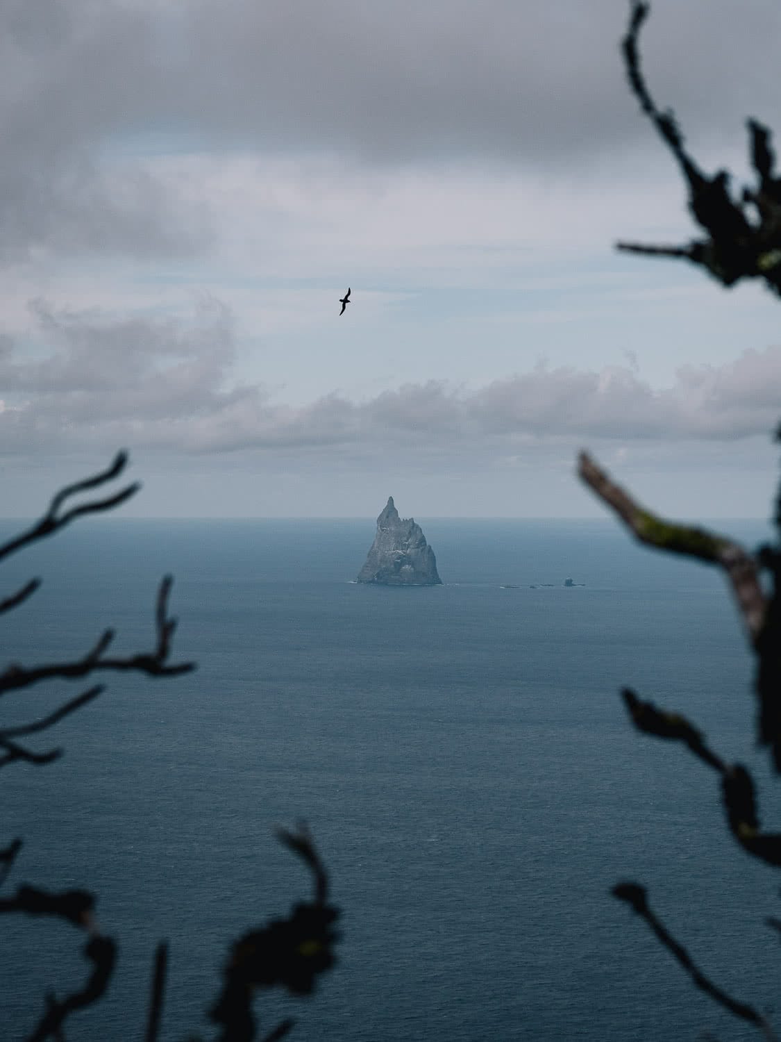 Lord Howe Island's Photography Hot Spots, Matt Horspool, Ball's Pyramid, island, ocean, alone, trees, frame