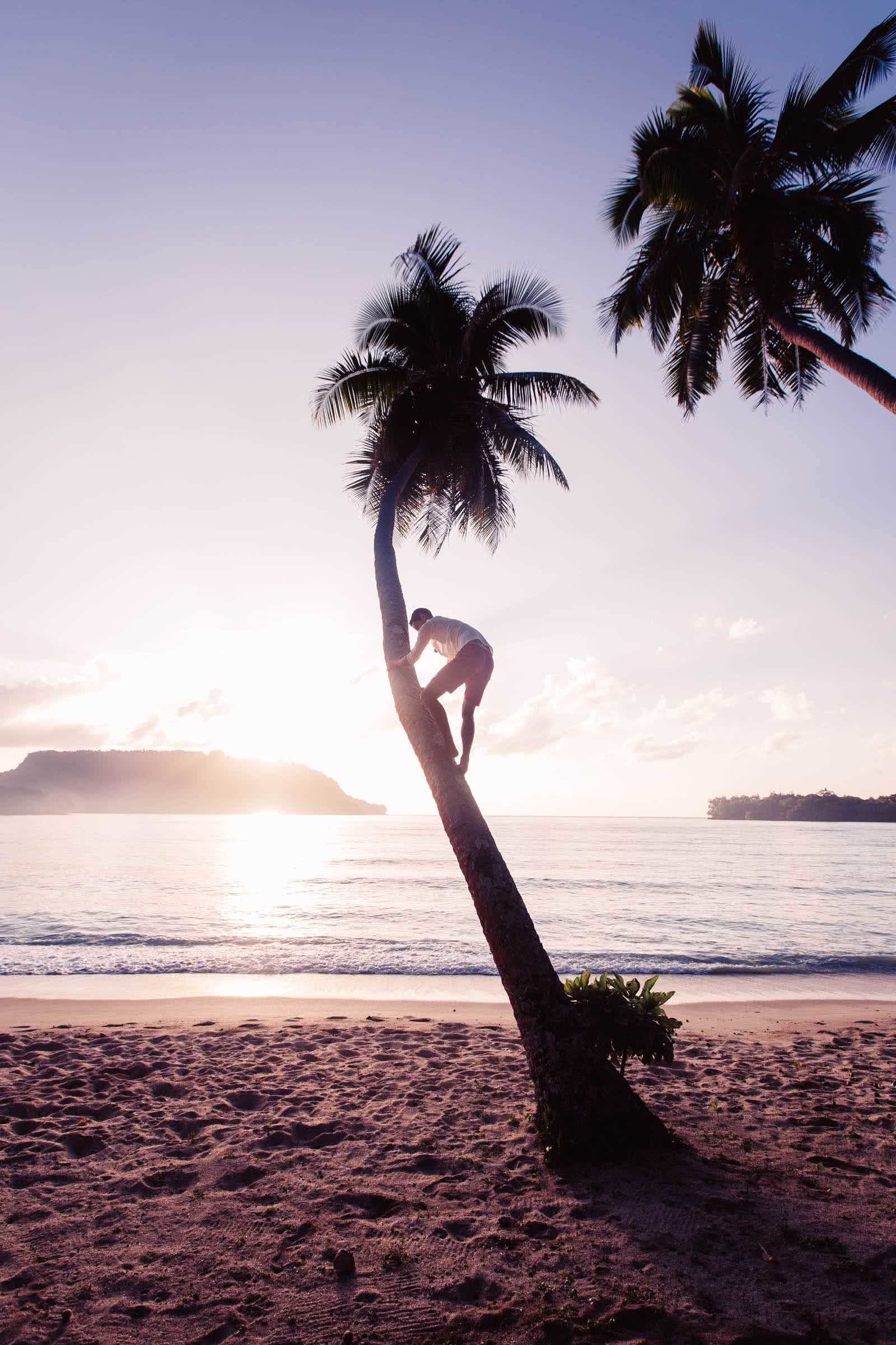 henry brydon, adventuring in paradise, vanuatu, island, pacific, tropical, adventures, palm, beach, sunset