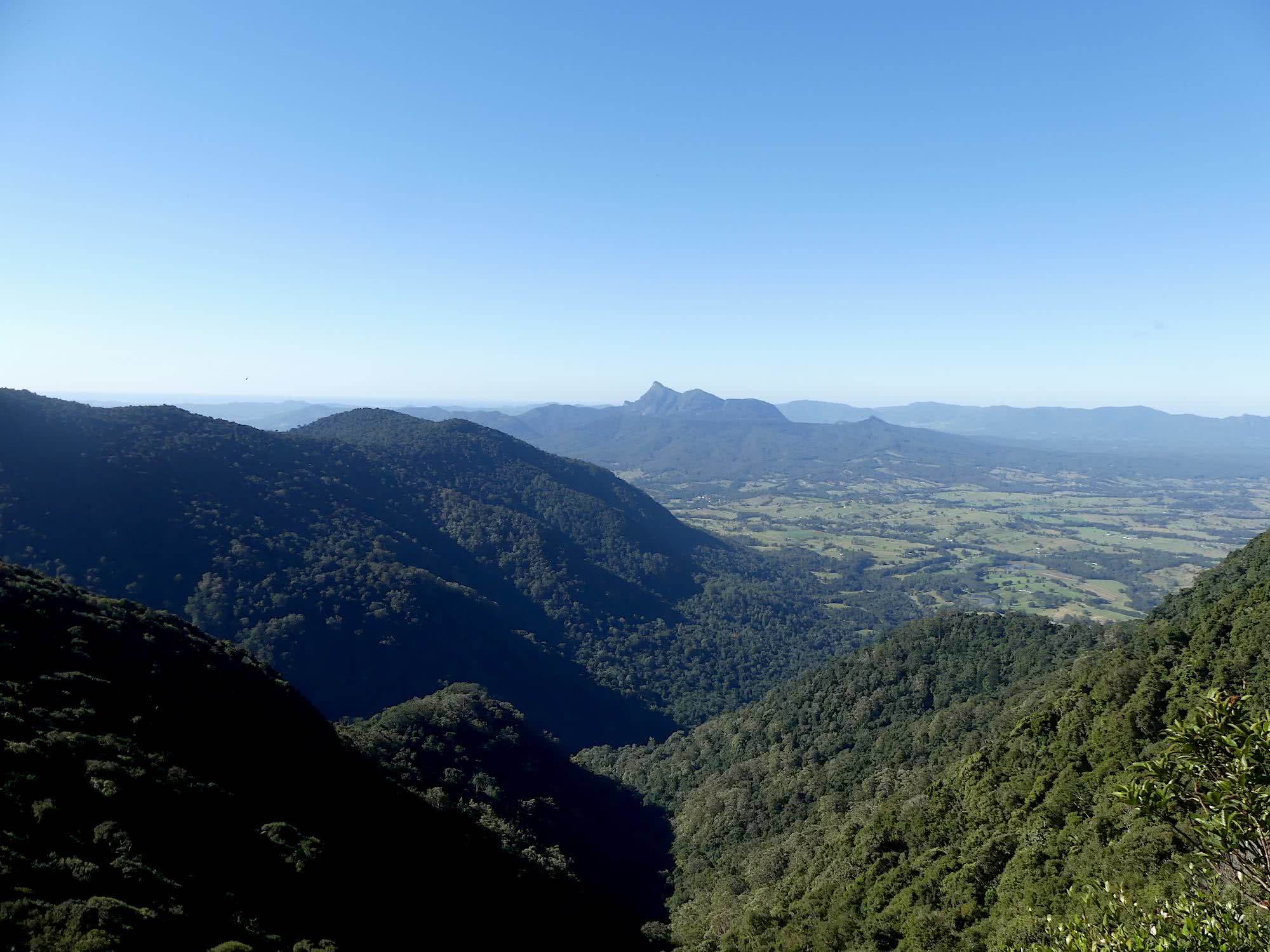 Saphira Schroers, Stinson walk, o'reilly's rainforest retreat, rescue, south east queensland, mt warning