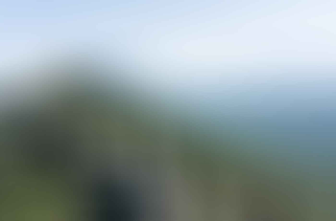 The Sweetest (And Toughest) Hike Near Melbourne // Sugarloaf Peak (VIC), Jaqui Wakefield, mist, trees, rocks, razorback ridge