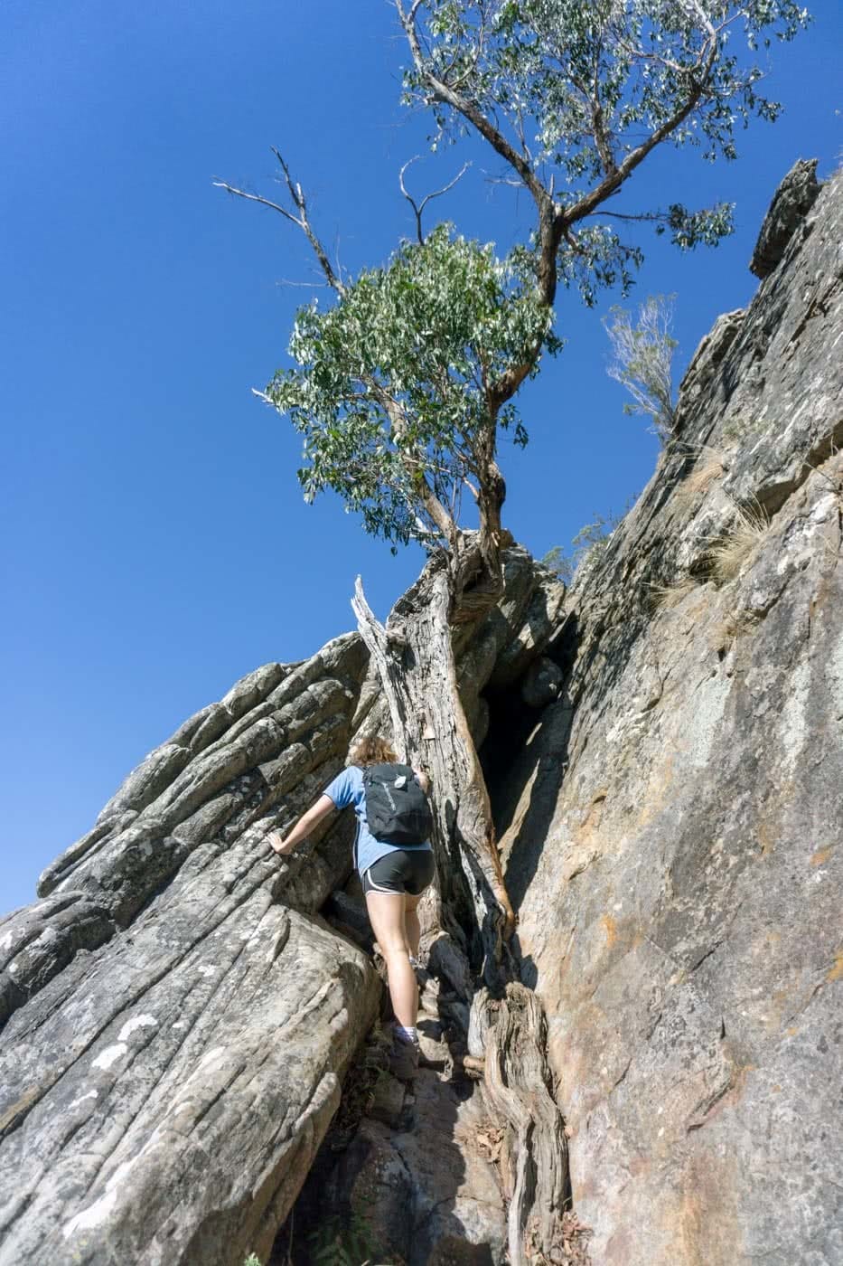 The Sweetest (And Toughest) Hike Near Melbourne // Sugarloaf Peak (VIC), Jaqui Wakefield, climbing, scramble, vertical, crack