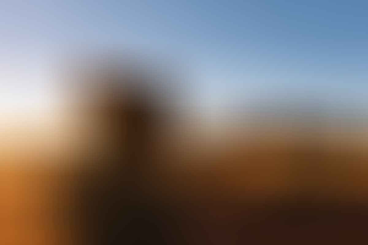 adrian mascenon, uluru, we need to talk about uluru, northern territory, red centre, view