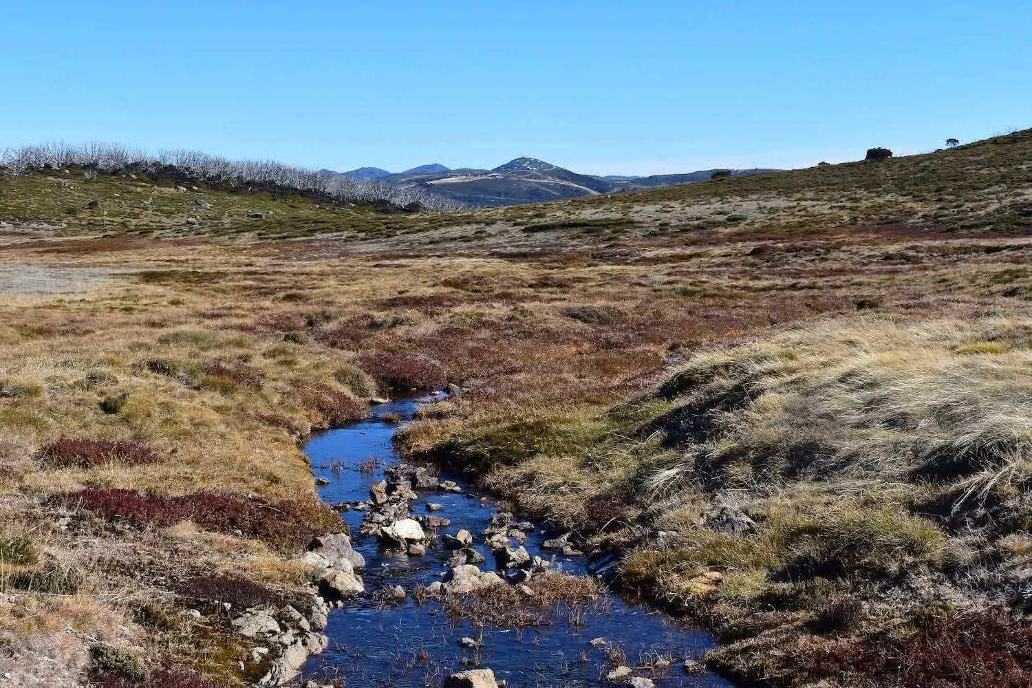 View to Falls Creek, Me and my friends, Emily Barlow, unyoked, the cabin series, hermit, stay, victoria, victorian high country