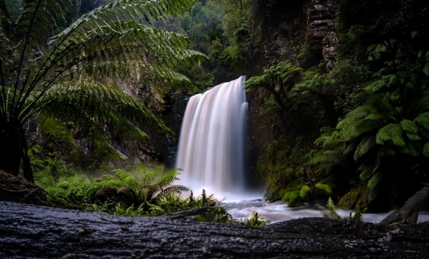 Raging Rapids \\ Waterfalls Of The Great Otway National Park, Kate Bradley, Hopetoun Falls from ground level, long exposure