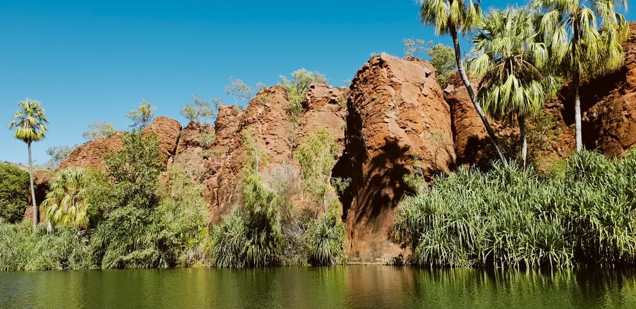 Out There In An Outback Oasis // Adels Grove (QLD), Grace and Brenton Keller, swimming hole, gorge, cliffs, bush, water, lawn hill creek