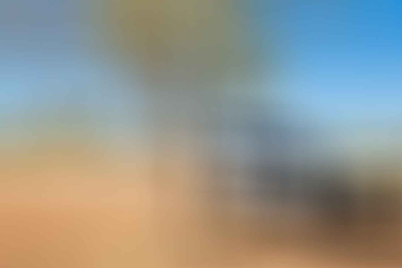 Out There In An Outback Oasis // Adels Grove (QLD), Grace and Brenton Keller, tree, 4WD, car, desert, outback
