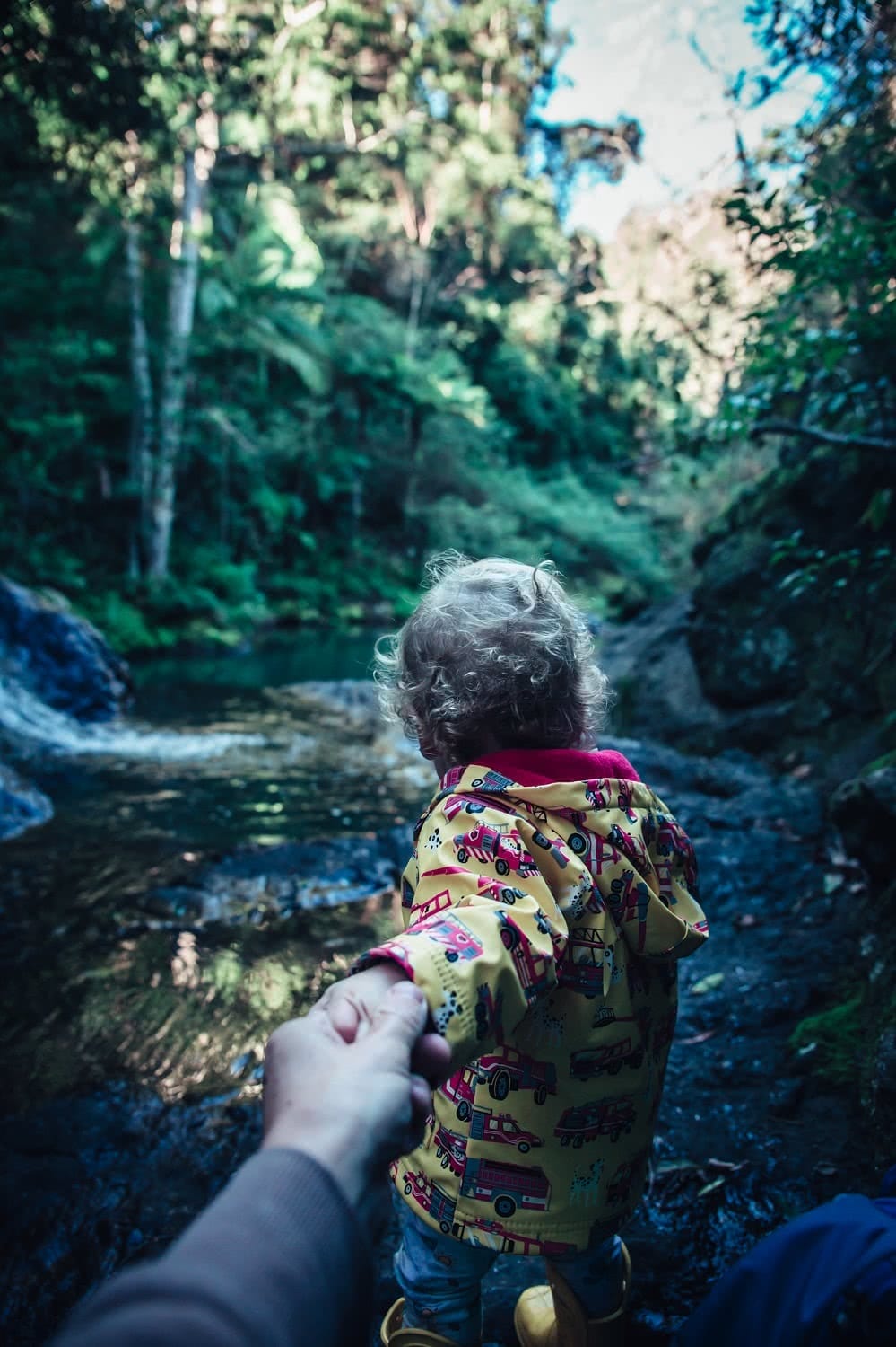 son guiding father through the rainforest henry brydon