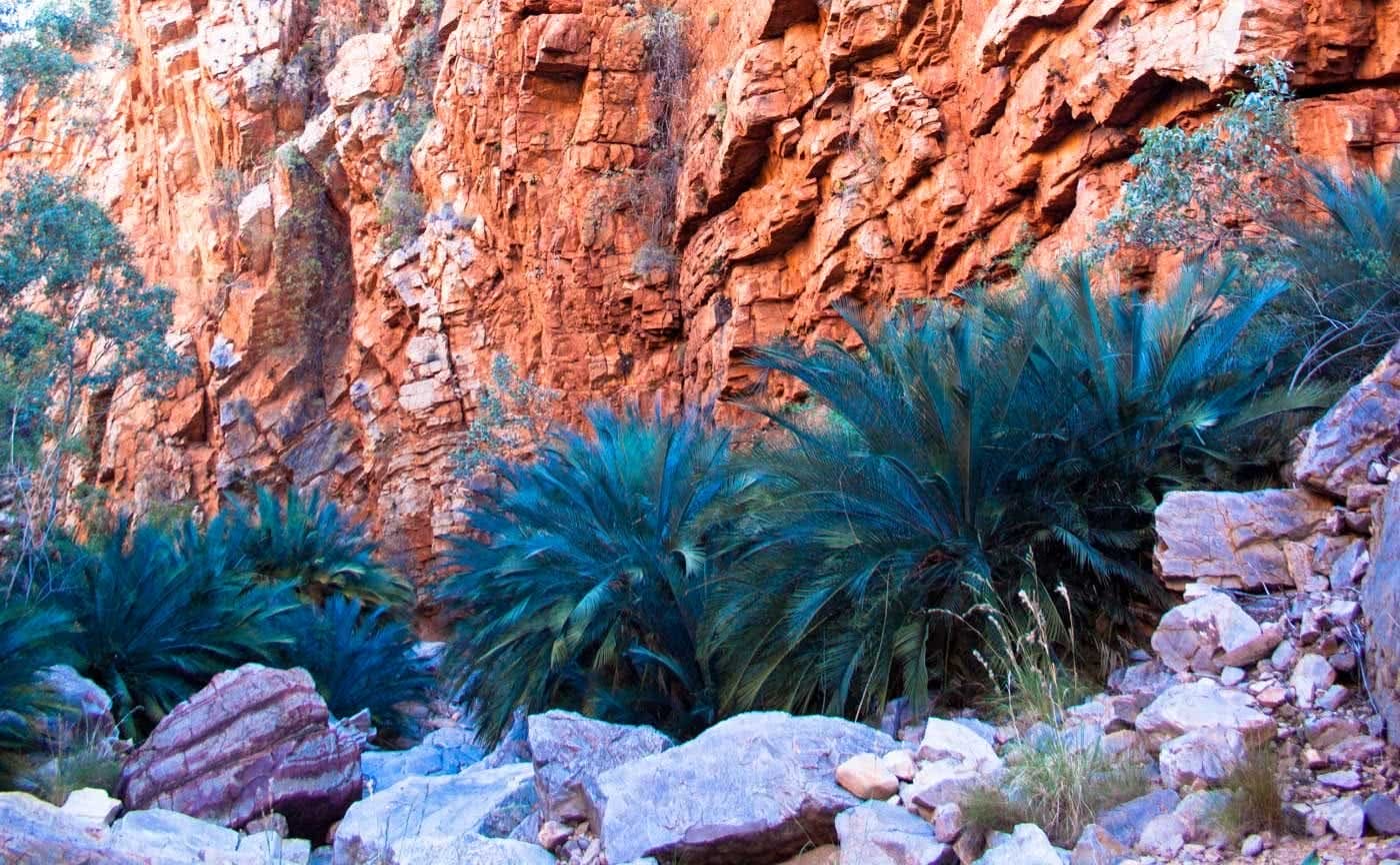 Larapinta trail self clearance guided