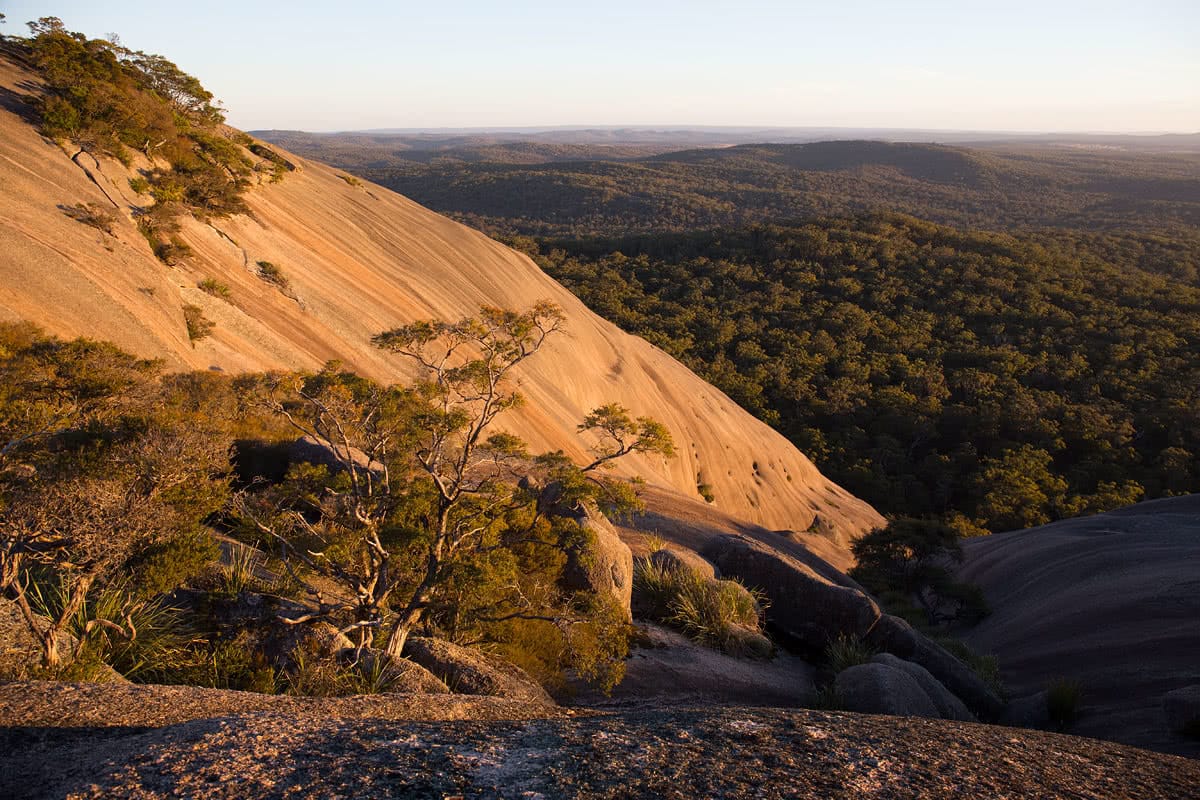 The Bare Beauty Of Bald Rock National Park (NSW) // Photo Essay, Liam Hardy, forest, rock formation, boulder, slope, sandstone