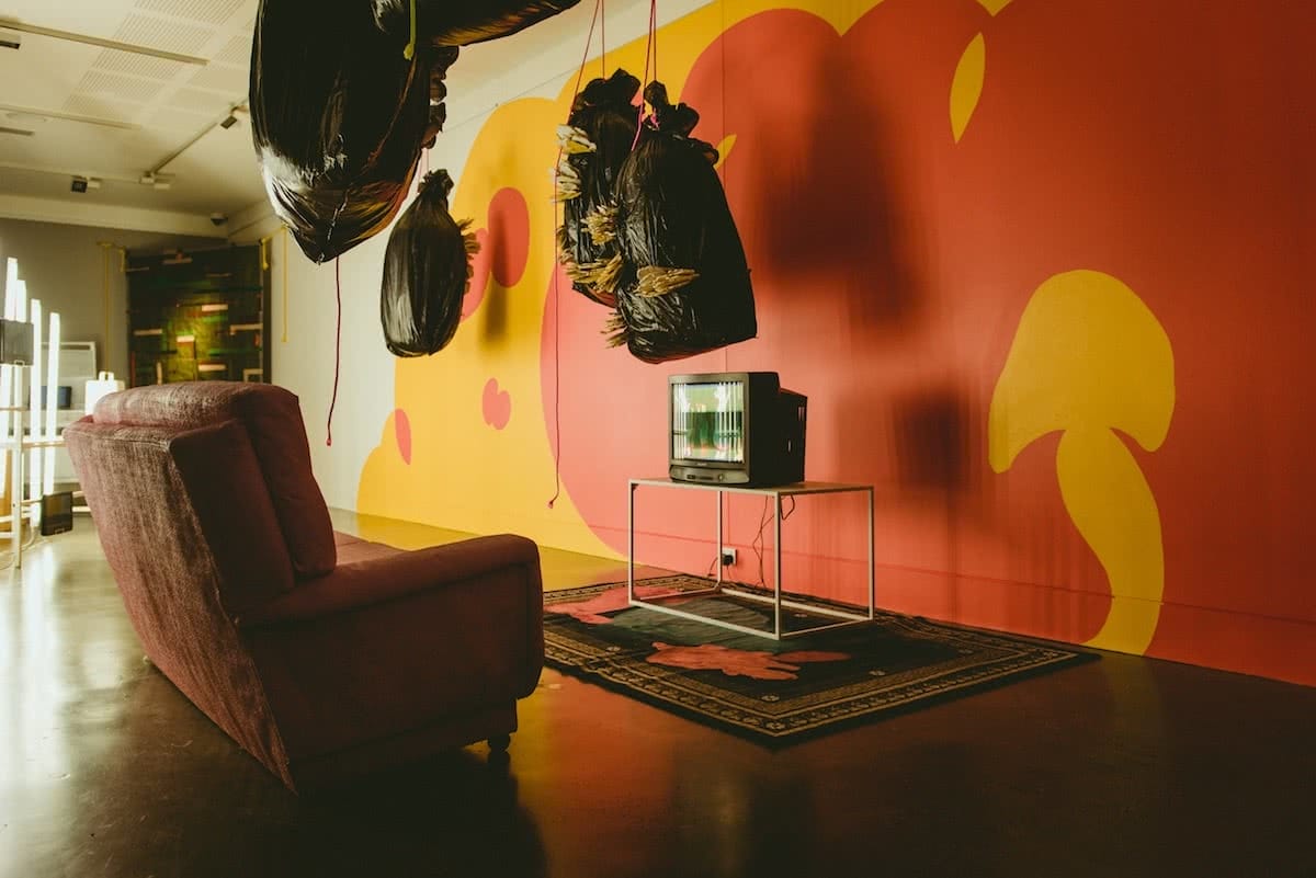 pat suraseng, the rainforest way, destination nsw, visit new south wales, lismore, art gallery