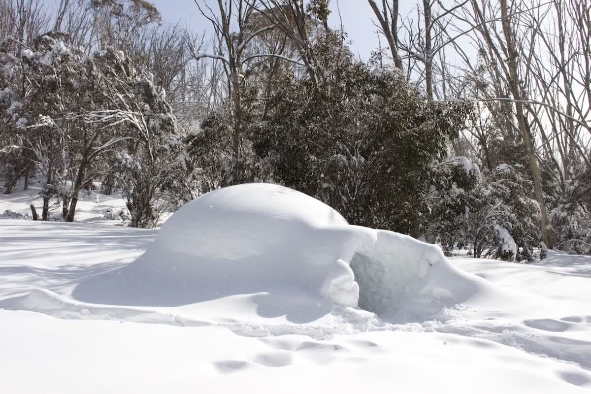 tim ashelford, igloo, how to build an igloo, ice, snow,