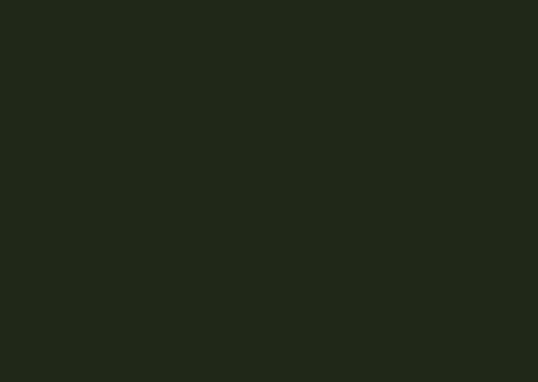 OSPREY Adventure Grant 2018, swoosh, bridge, forest