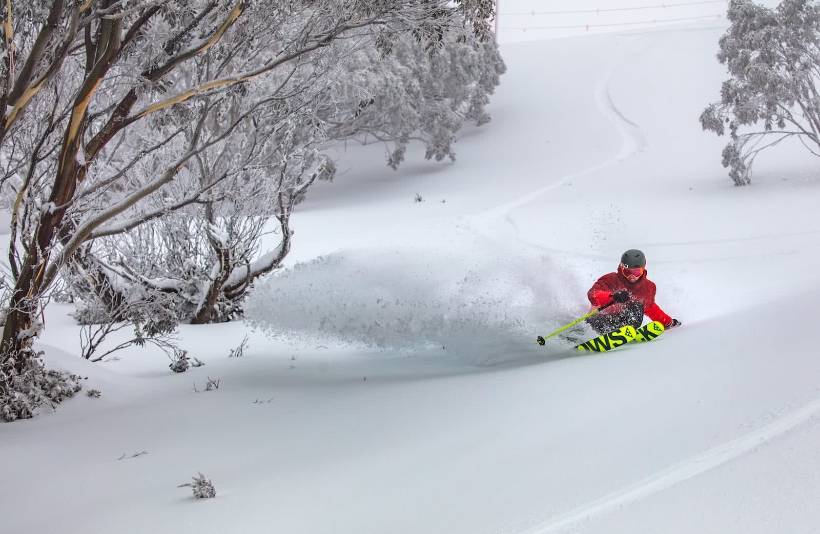 Coen Bennie Faulls Hotham, karl gray, ski, snow, powder, pow