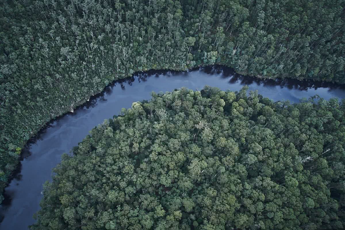 Mikey Schaefer, tarkine, takayna, tasmania, world heritage protection, aerial
