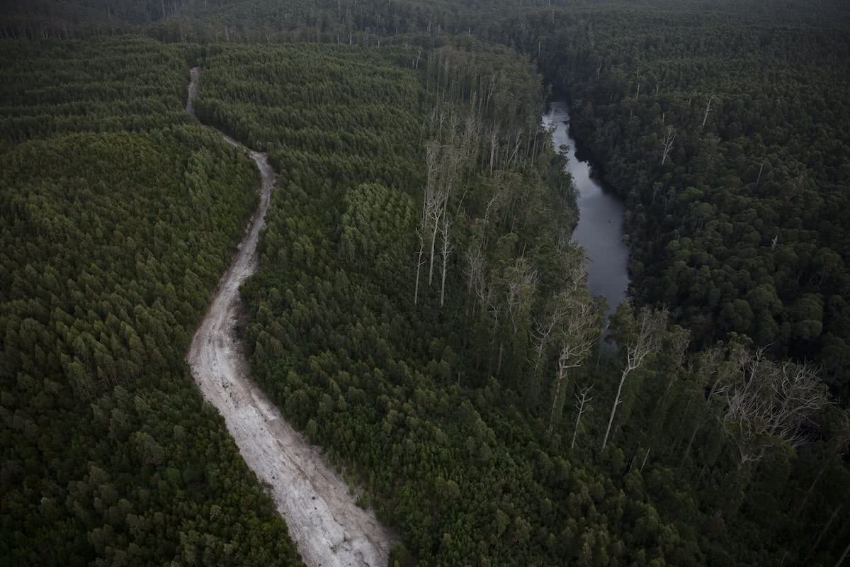 K Wright, tarkine, takayna, tasmania, world heritage protection, aerial