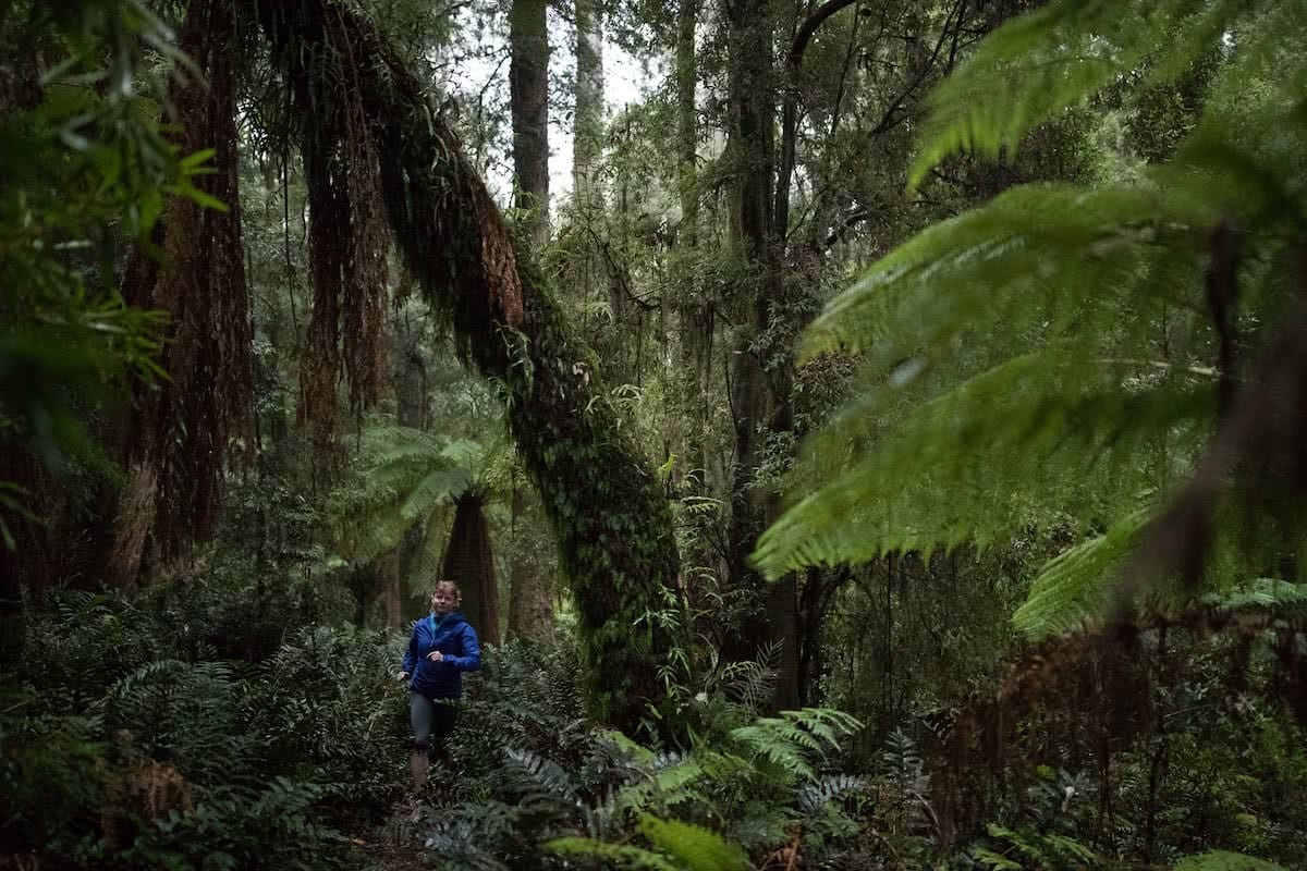 K Wright, tarkine, takayna, tasmania, world heritage protection, running, rainforest