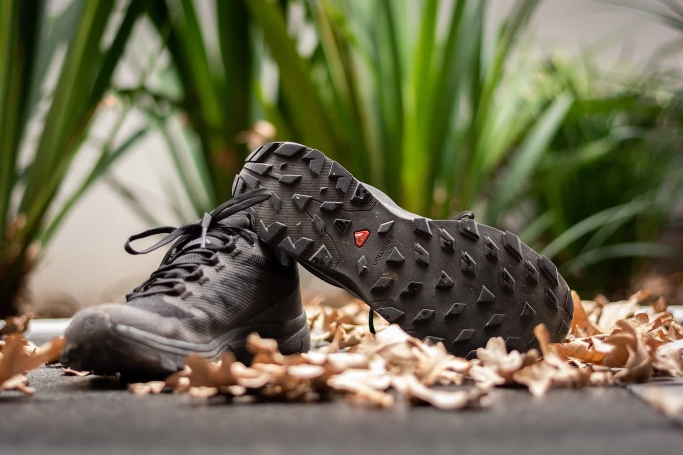 Outline low gtx hiking shoes online