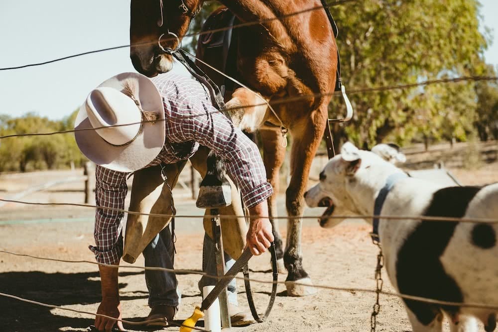 Pat Suraseang, Outback Road Trip // Cruising Along The Darling River Run, outback, NSW, visit nsw, road trips, Bourke (Back O'Bourke Show) (2)