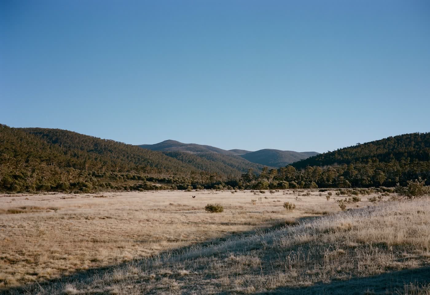 Taste Of The Aussie Alps // Namadgi National Park (ACT)